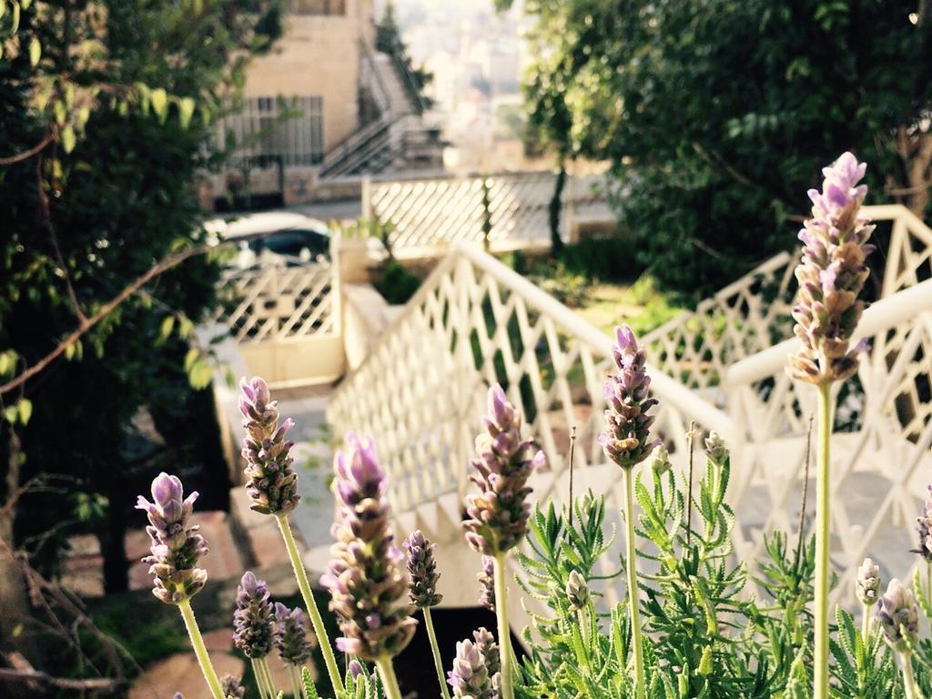 Lavender Boutique Hotel Ramallah Ngoại thất bức ảnh